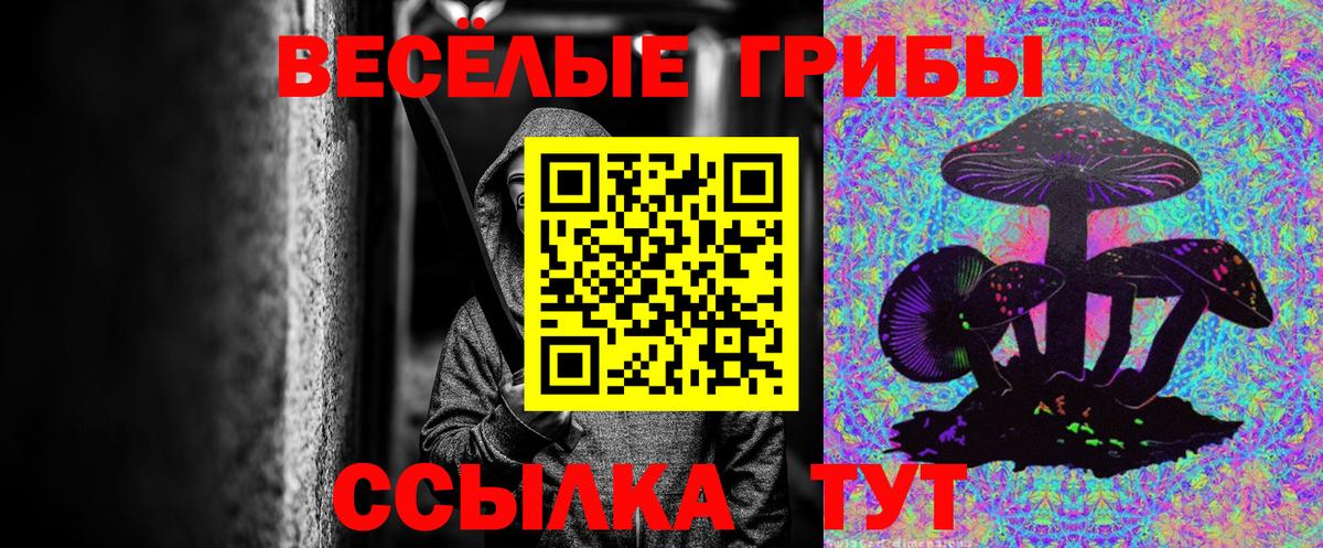 Галлюциногенные грибы Magic Shrooms  Псилоцибиновые грибы мицелий  Кстово  цена   Вход с VPN 